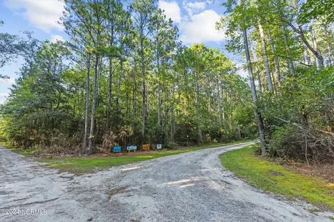 280 Donnie Davis Rd, Williston, NC 28589 photo 5