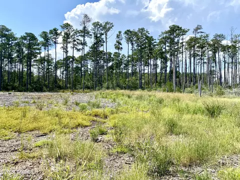 280 Donnie Davis Rd, Williston, NC 28589 photo 16
