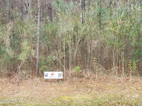 lot55 Eagle Nest Trl, Blounts Creek, NC 27814