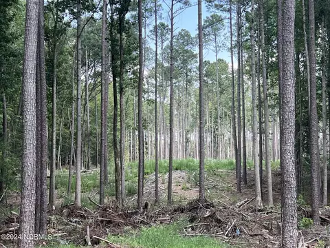 0 Sr 1119, Chocowinity, NC 27817 photo 2