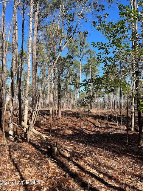 0 Sr 1119, Chocowinity, NC 27817 photo 3