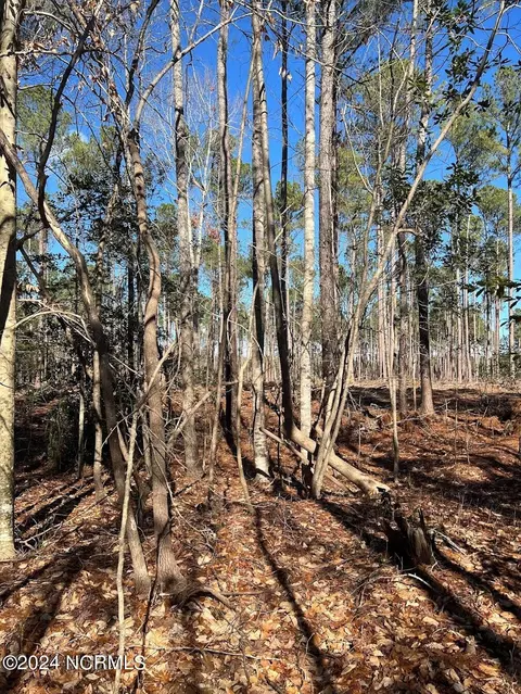 0 Sr 1119, Chocowinity, NC 27817 photo 4
