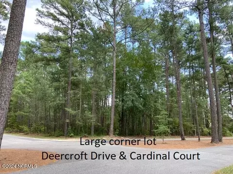 1 Deercroftcardinal Ct, Wagram, NC 28396