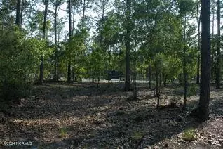 3038 Georgiana Cir SE, Bolivia, NC 28422