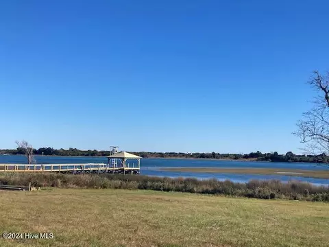 View/Area - 115 Planters Walk, Hampstead, NC 28443 photo 1 of 3