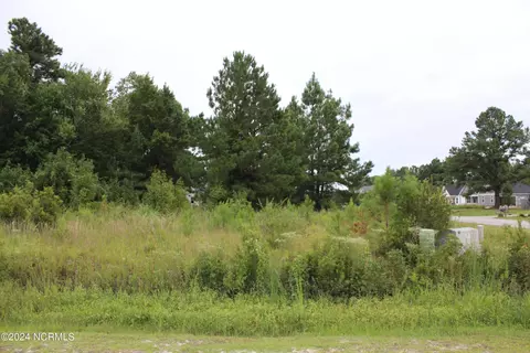 111 Backfield Dr, Newport, NC 28570
