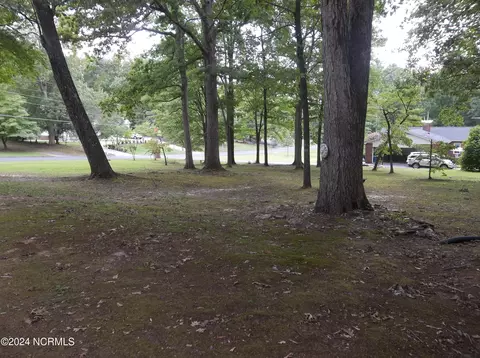 220 Green St, Biscoe, NC 27209 photo 27