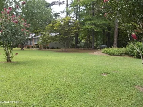 220 Green St, Biscoe, NC 27209 photo 31