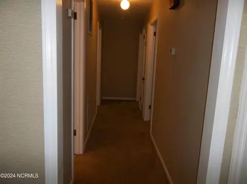 220 Green St, Biscoe, NC 27209 photo 16