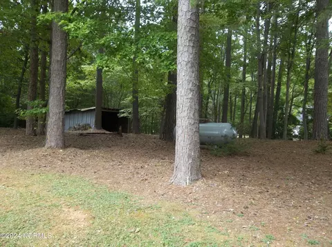 220 Green St, Biscoe, NC 27209 photo 30