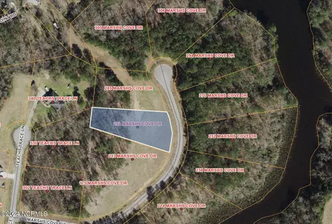 251 Marshs Cove Dr, Bath, NC 27808 photo 6