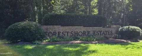 208 Shore Dr E, Oriental, NC 28571 photo 3
