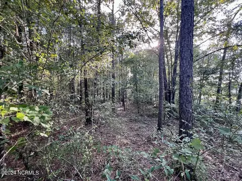 2995 Nelson Rd, Grifton, NC 28530 photo 16