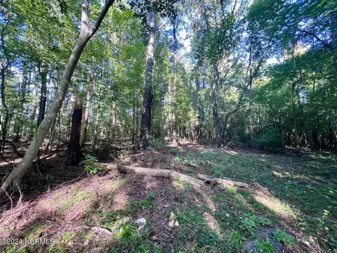 2995 Nelson Rd, Grifton, NC 28530 photo 7