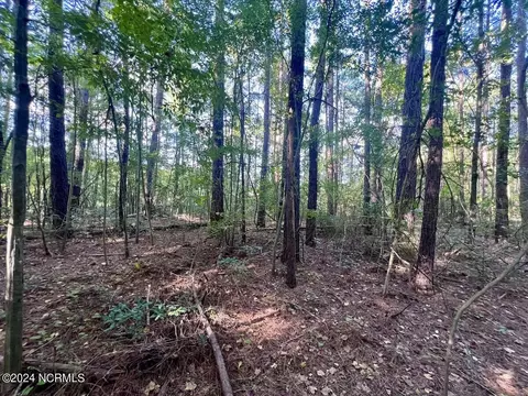 2995 Nelson Rd, Grifton, NC 28530 photo 11