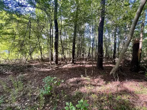 2995 Nelson Rd, Grifton, NC 28530 photo 8