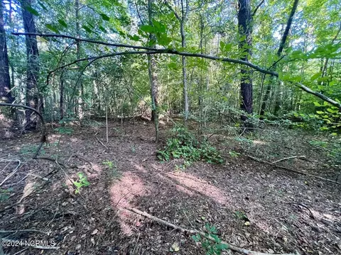 2995 Nelson Rd, Grifton, NC 28530 photo 9