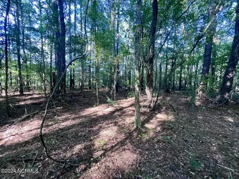 2995 Nelson Rd, Grifton, NC 28530 photo 10