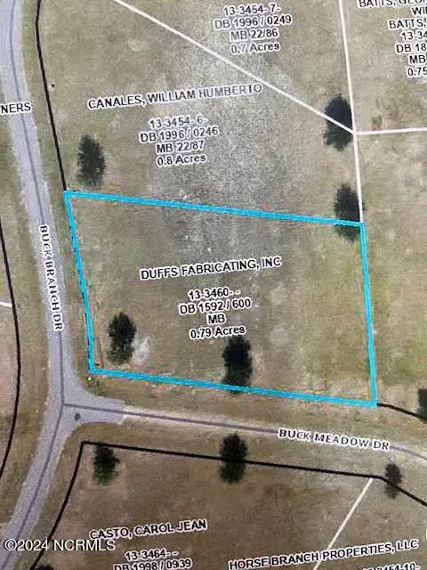 00 Buck Branch Dr, Warsaw, NC 28398