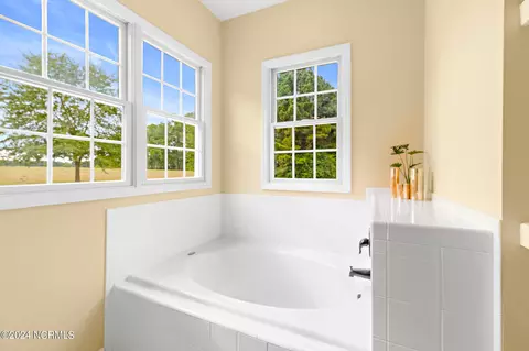 Bath - 4960 Willard Rd, Willard, NC 28478 photo 4 of 7