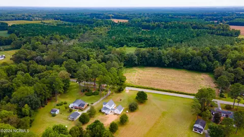 View/Area - 4960 Willard Rd, Willard, NC 28478 photo 2 of 4