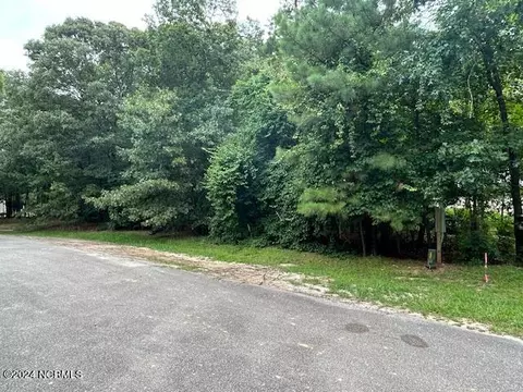 10663 Mckenzie Rd, Bailey, NC 27807 photo 2