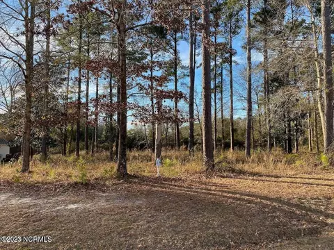 206 Sanderling Ln, New Bern, NC 28562