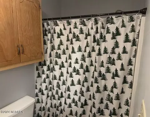 Bath - 5679 Edith Rd, Ayden, NC 28513 photo 2 of 3
