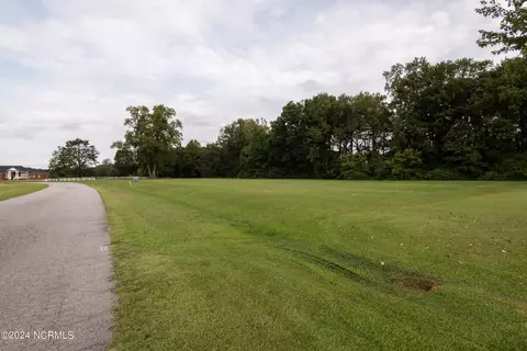 1045 Cedar Point Dr, Williamston, NC 27892 photo 5