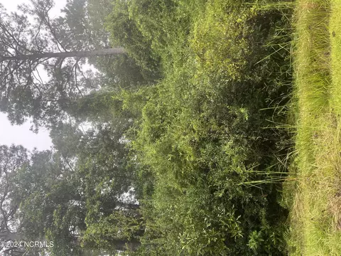 51 Bluebird Rd, Boiling Spring Lakes, NC 28461