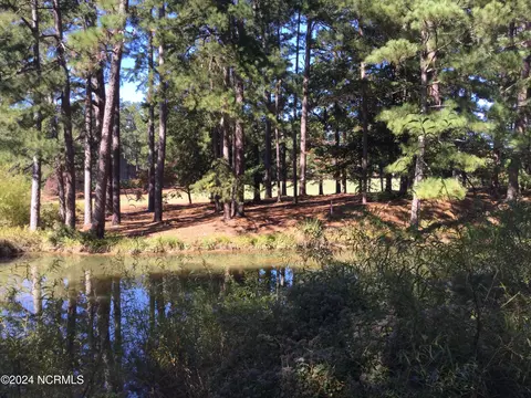 10 Pine Tree Rd #131, Pinehurst, NC 28374 photo 5