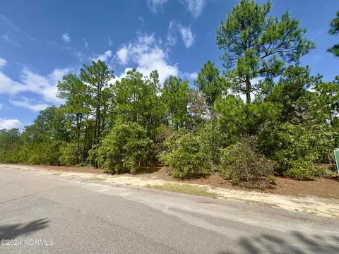 221 Carriage Park Dr, West End, NC 27376