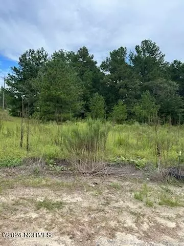 107 Peachview Dr, Hamlet, NC 28345