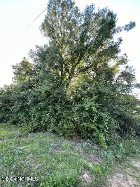 0 Point Caswell Rd, Willard, NC 28478 photo 4