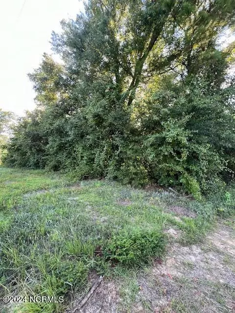 0 Point Caswell Rd, Willard, NC 28478 photo 3