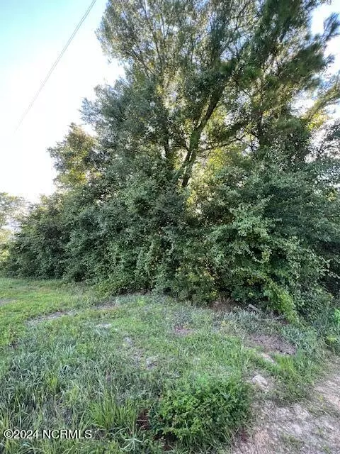 0 Point Caswell Rd, Willard, NC 28478 photo 5