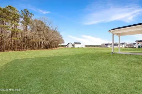 46 Lupin Dr, Smithfield, NC 27577 photo 29