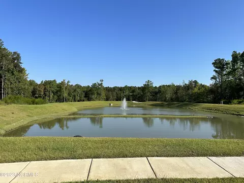 41 W Dragonfly Ln, Hampstead, NC 28443 photo 37