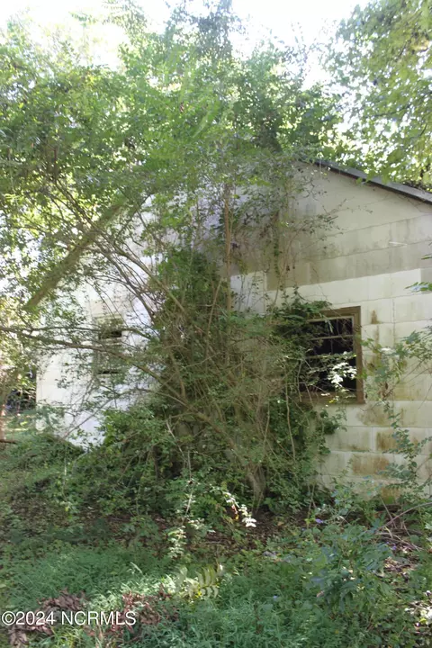 419 Cannons Ferry Rd, Tyner, NC 27980 photo 27