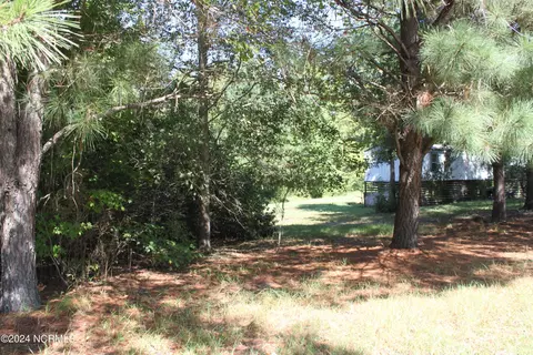 419 Cannons Ferry Rd, Tyner, NC 27980 photo 13