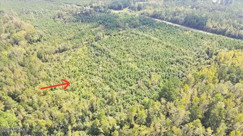 260 Andermora Rd, Maple Hill, NC 28454 photo 15