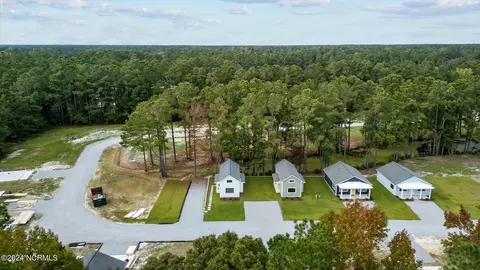 View/Area - 124 Long Pond Loop, Swansboro, NC 28584 photo 10 of 13
