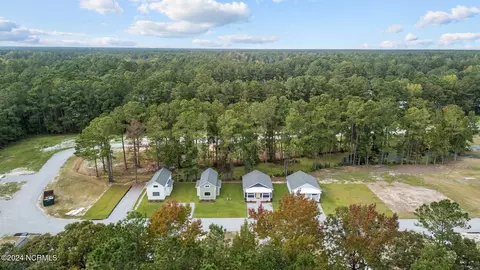 View/Area - 124 Long Pond Loop, Swansboro, NC 28584 photo 6 of 13