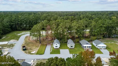 View/Area - 124 Long Pond Loop, Swansboro, NC 28584 photo 13 of 13