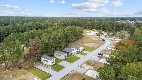 View/Area - 124 Long Pond Loop, Swansboro, NC 28584 photo 11 of 13
