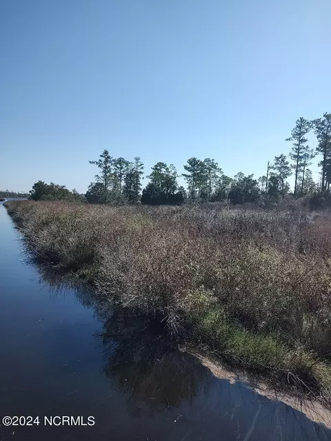 Tract B Meekins Road, Bayboro, NC 28515