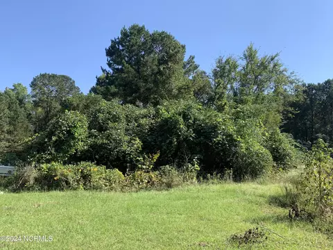 244 Bitmore Rd, Whiteville, NC 28472