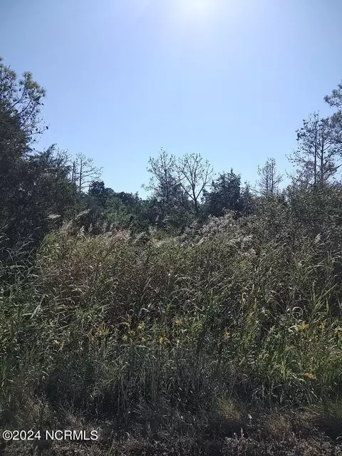 Tract A Meekins Road, Bayboro, NC 28515