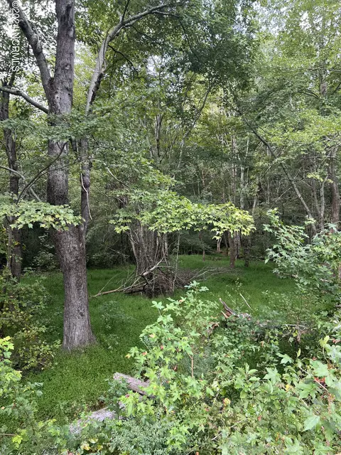 lot3 Us 264a, Bailey, NC 27807
