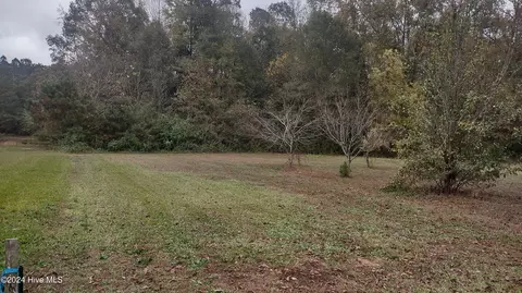 9921 Winters Rd, Bailey, NC 27807 photo 32